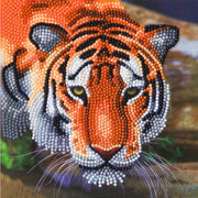 Crystal Art DIY Card kit