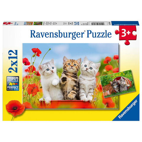 2x12pce Kitten Adventures Puzzles