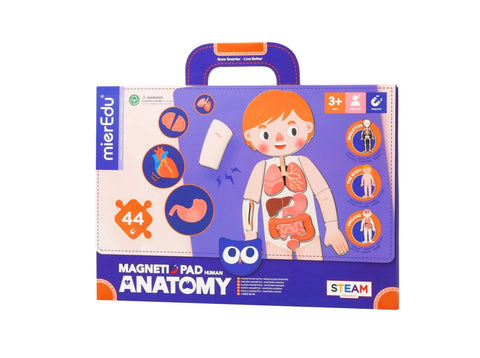 Magneti Pad - Human Anatomy