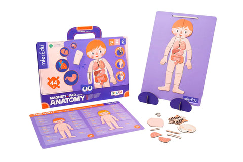 Magneti Pad - Human Anatomy