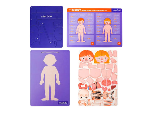 Magneti Pad - Human Anatomy