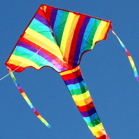Rainbow Delta Kite - single string