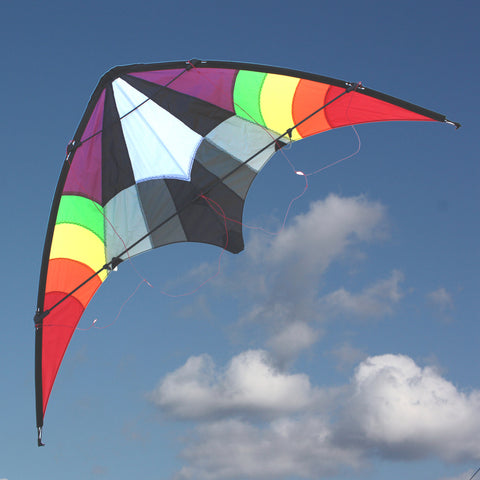 Stunt Master Kite - Duel Control