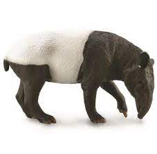 Malayin Tapir