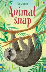 Animal Snap Cards Sloth
