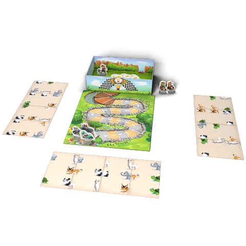 Zoo Run