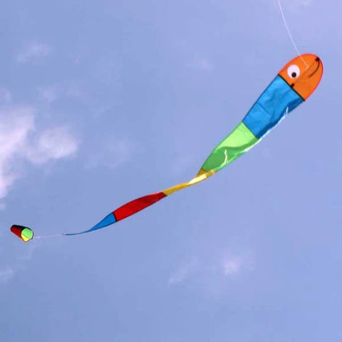 Wilma the Worm Kite